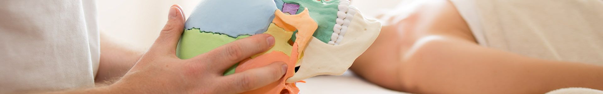 Informationen zur Ausbildung Craniosacraler Osteopathie - Craniosacrale Therapie Ausbildung
